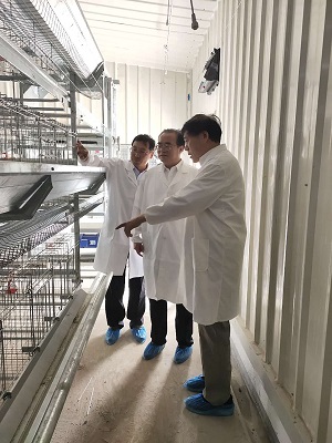 麻将线上玩
