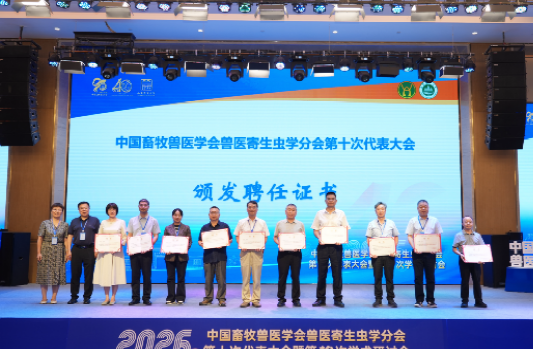 麻将线上玩