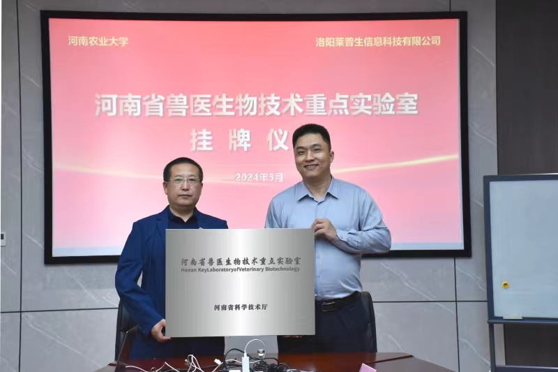 麻将线上玩