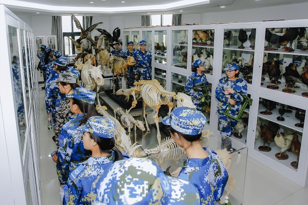 麻将线上玩