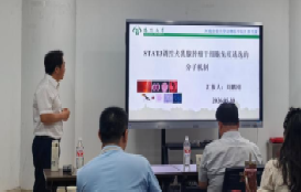 麻将线上玩