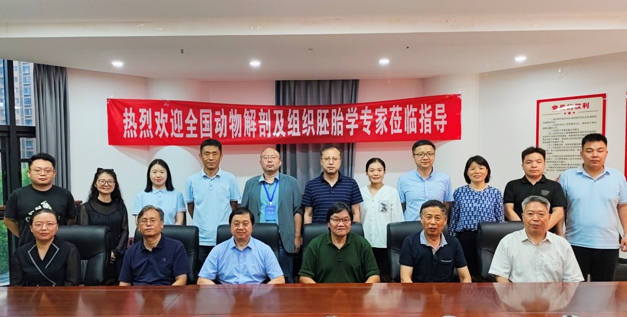麻将线上玩