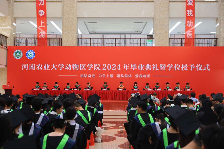 麻将线上玩