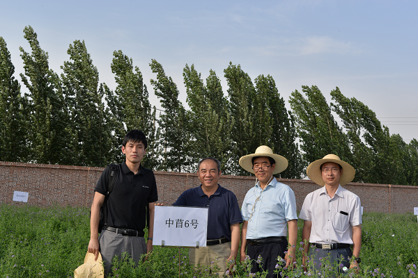 麻将线上玩