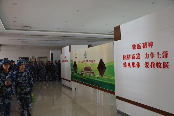 麻将线上玩