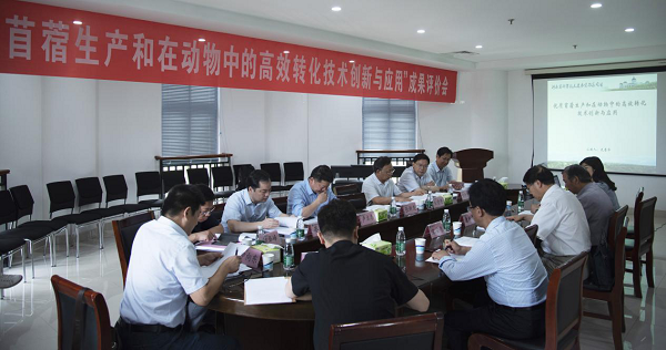 麻将线上玩