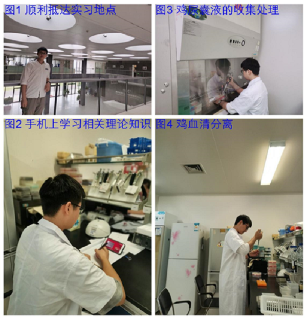 �齫������