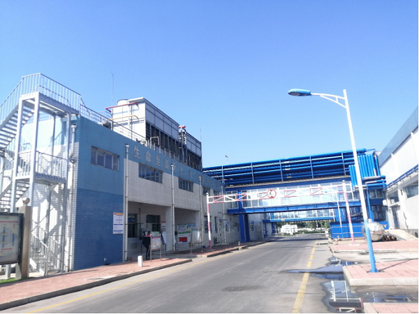 �齫������