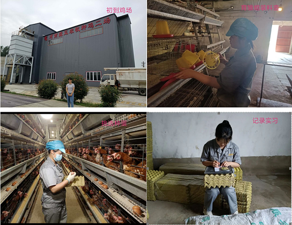 �齫������