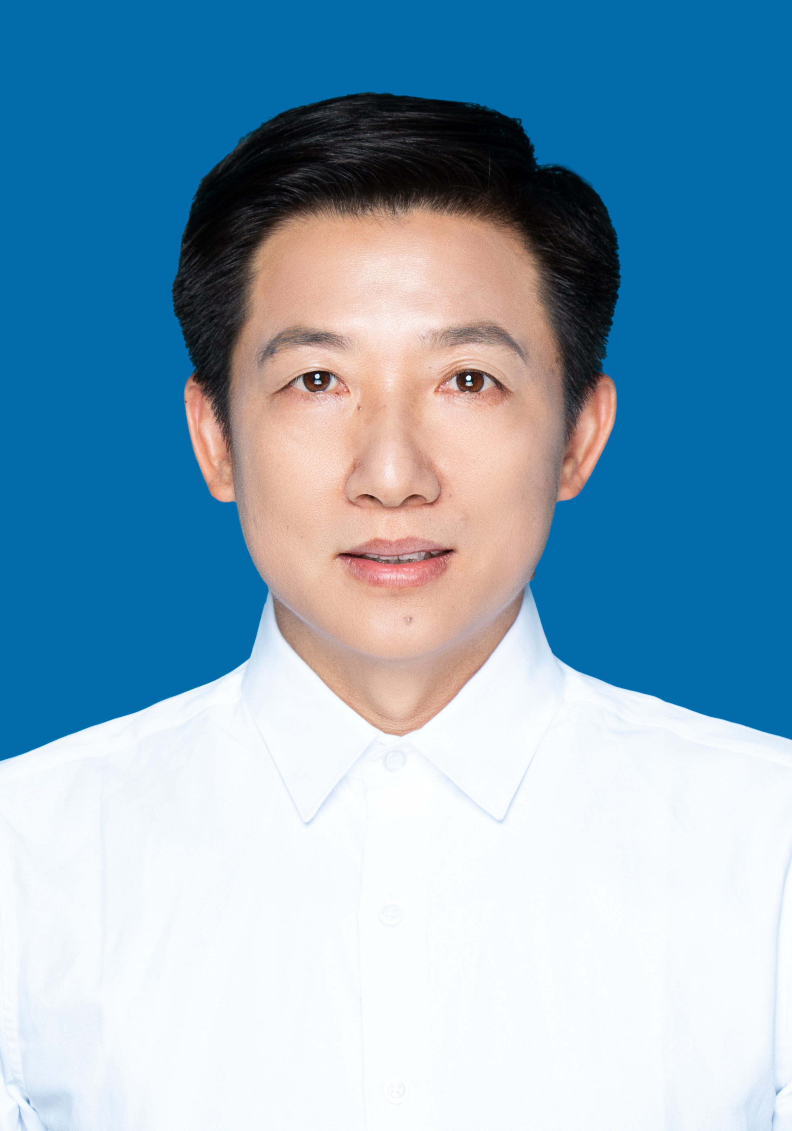 �齫������