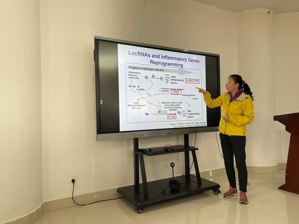 �齫������