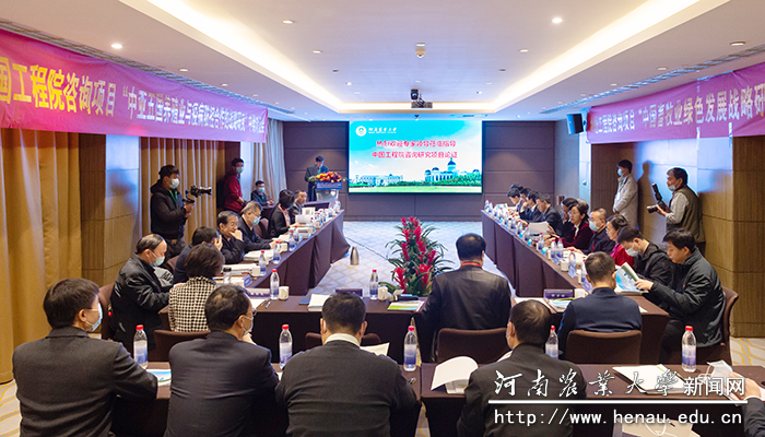 �齫������