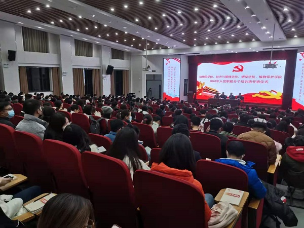 �齫������