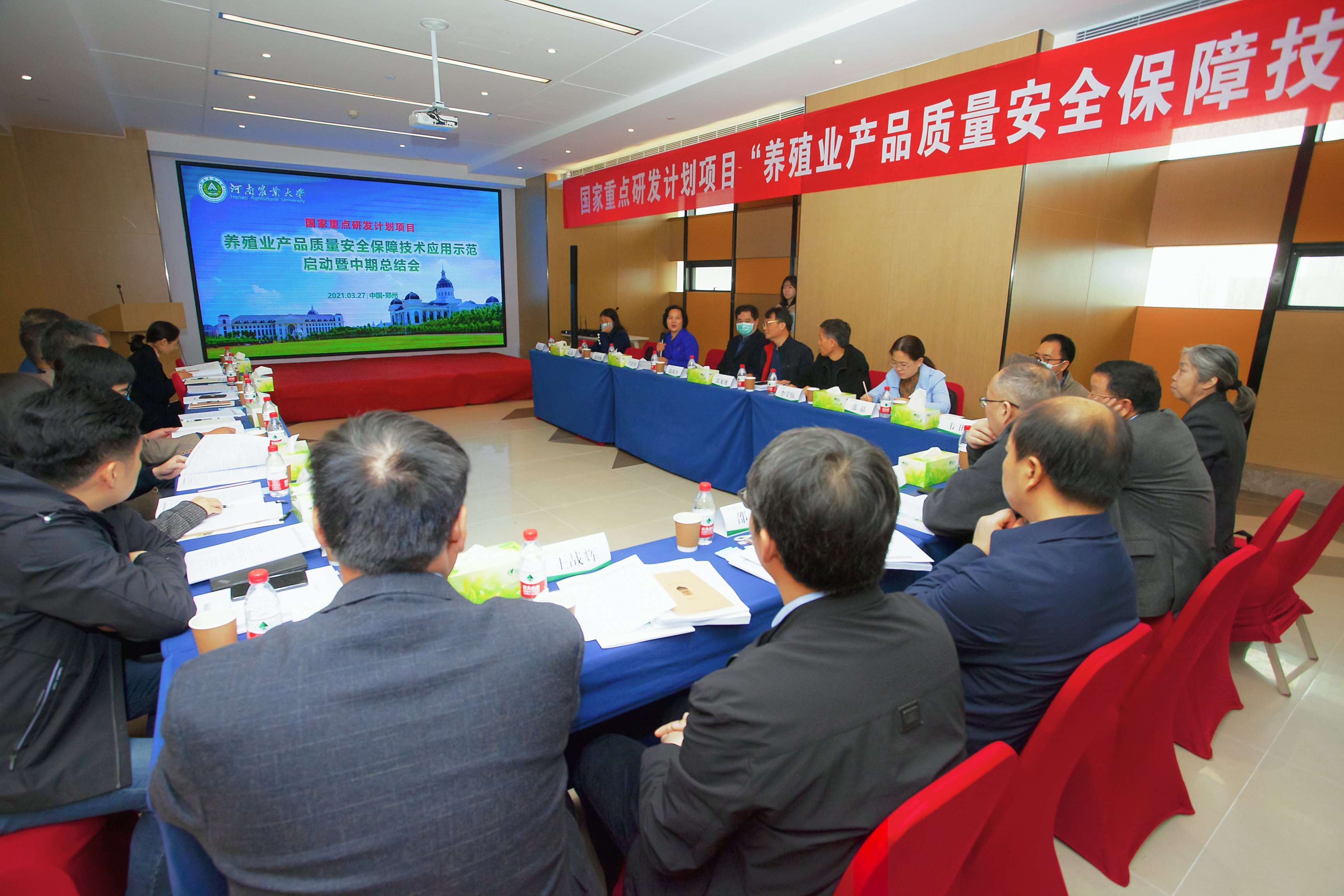 �齫������