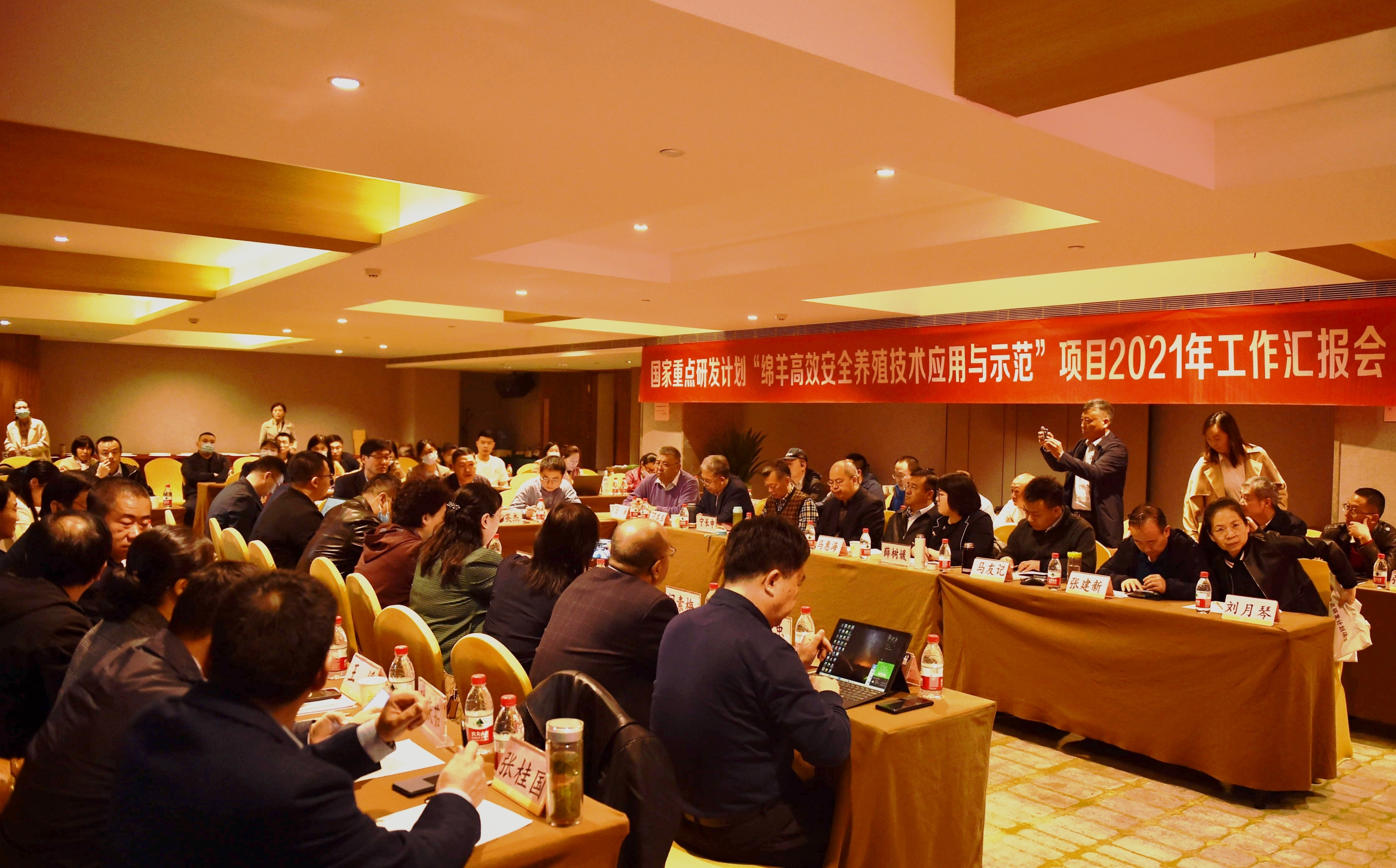 �齫������