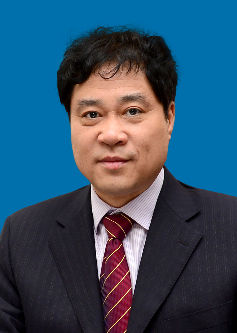 �齫������