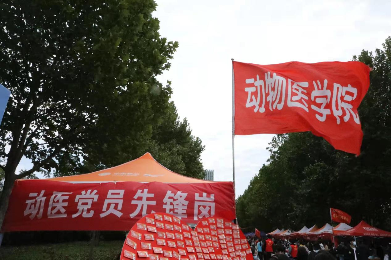 �齫������