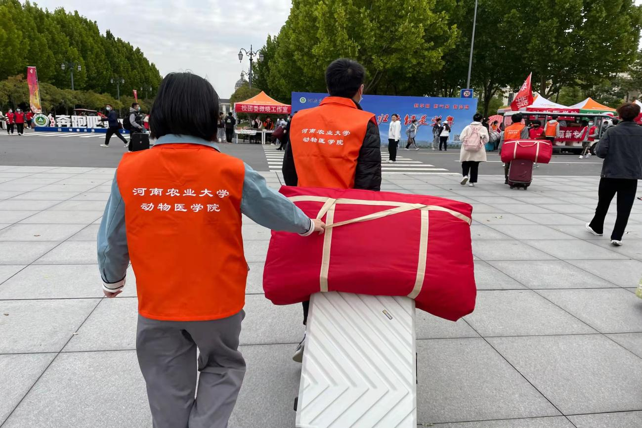 �齫������