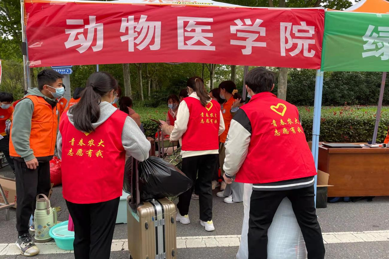 �齫������