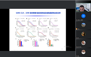 �齫������