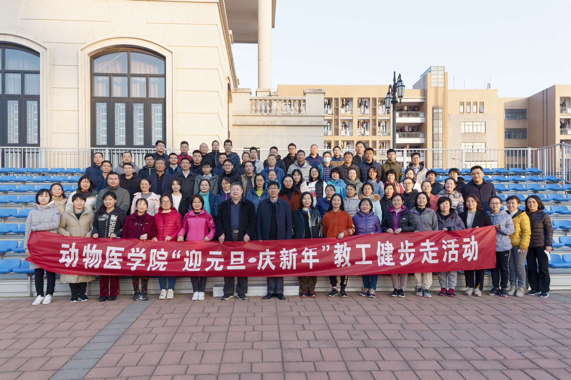 �齫������