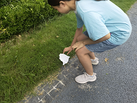 �齫������