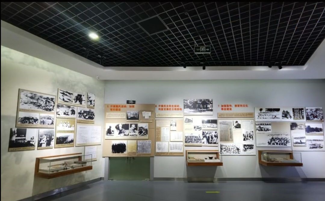 �齫������