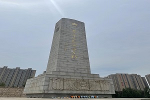 �齫������