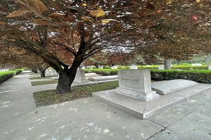 �齫������