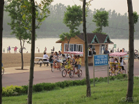 �齫������