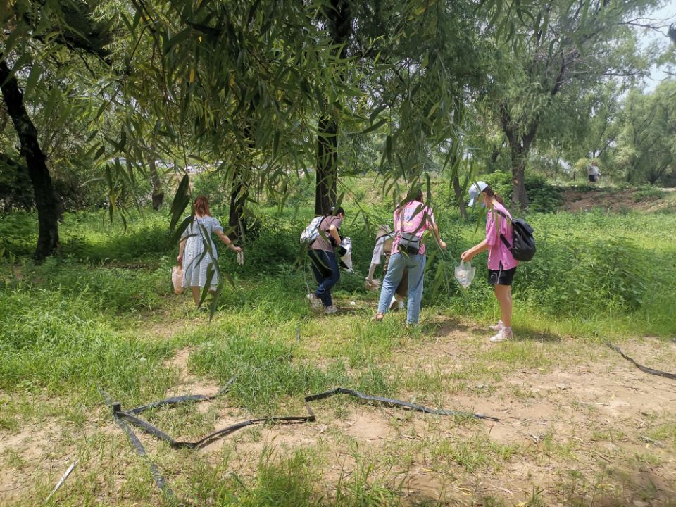 �齫������