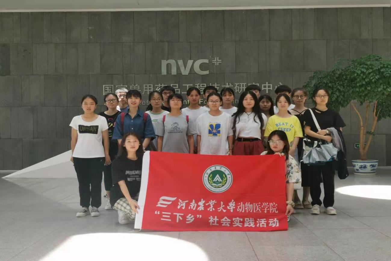 �齫������