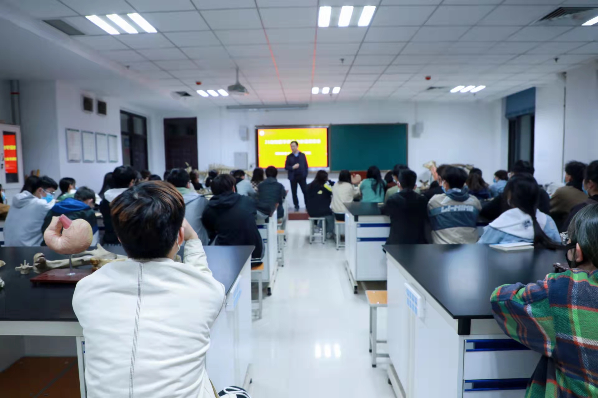 �齫������