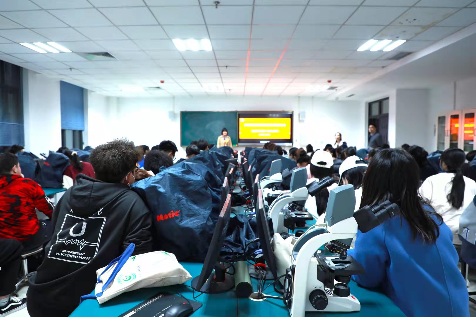 �齫������