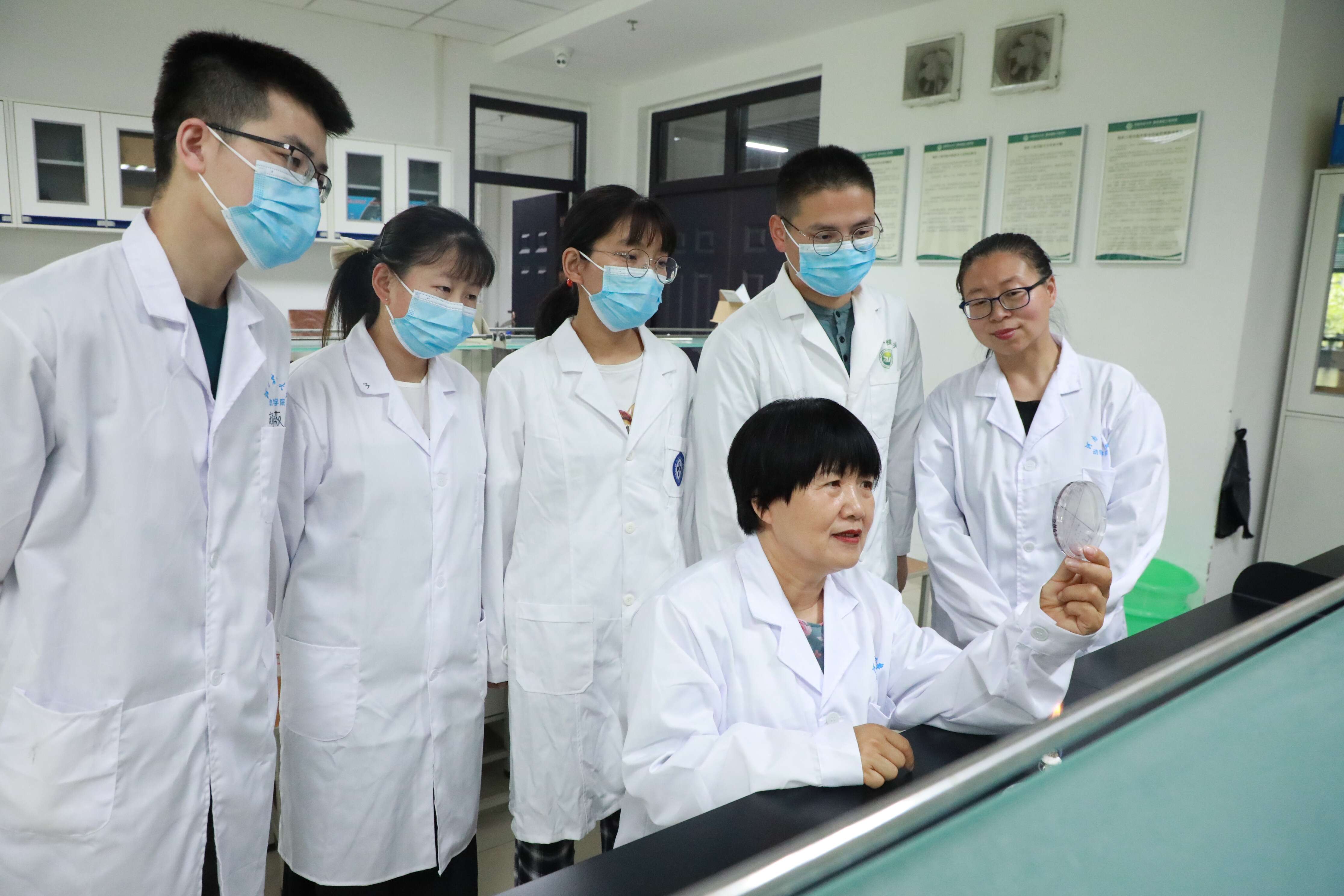 �齫������