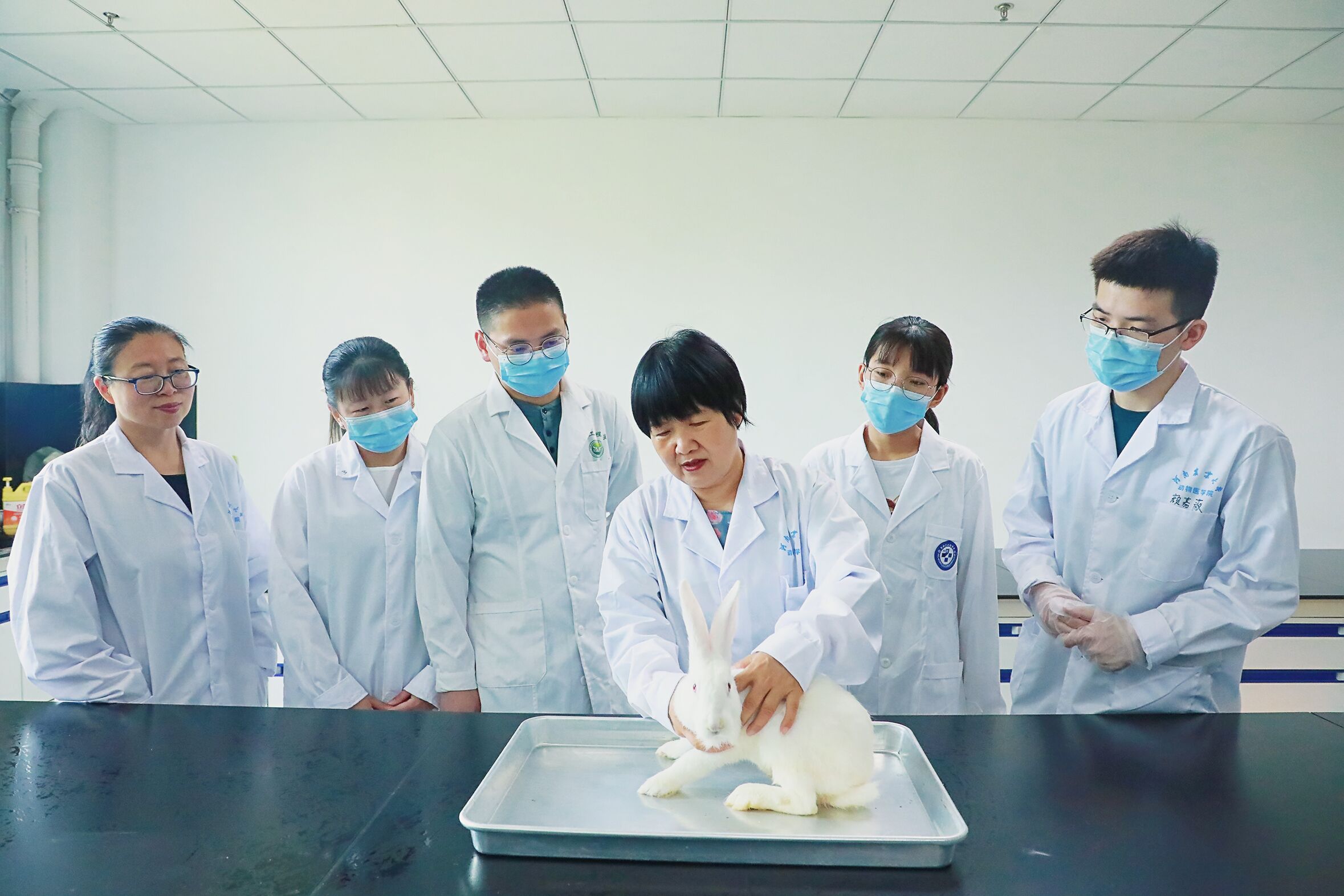 �齫������