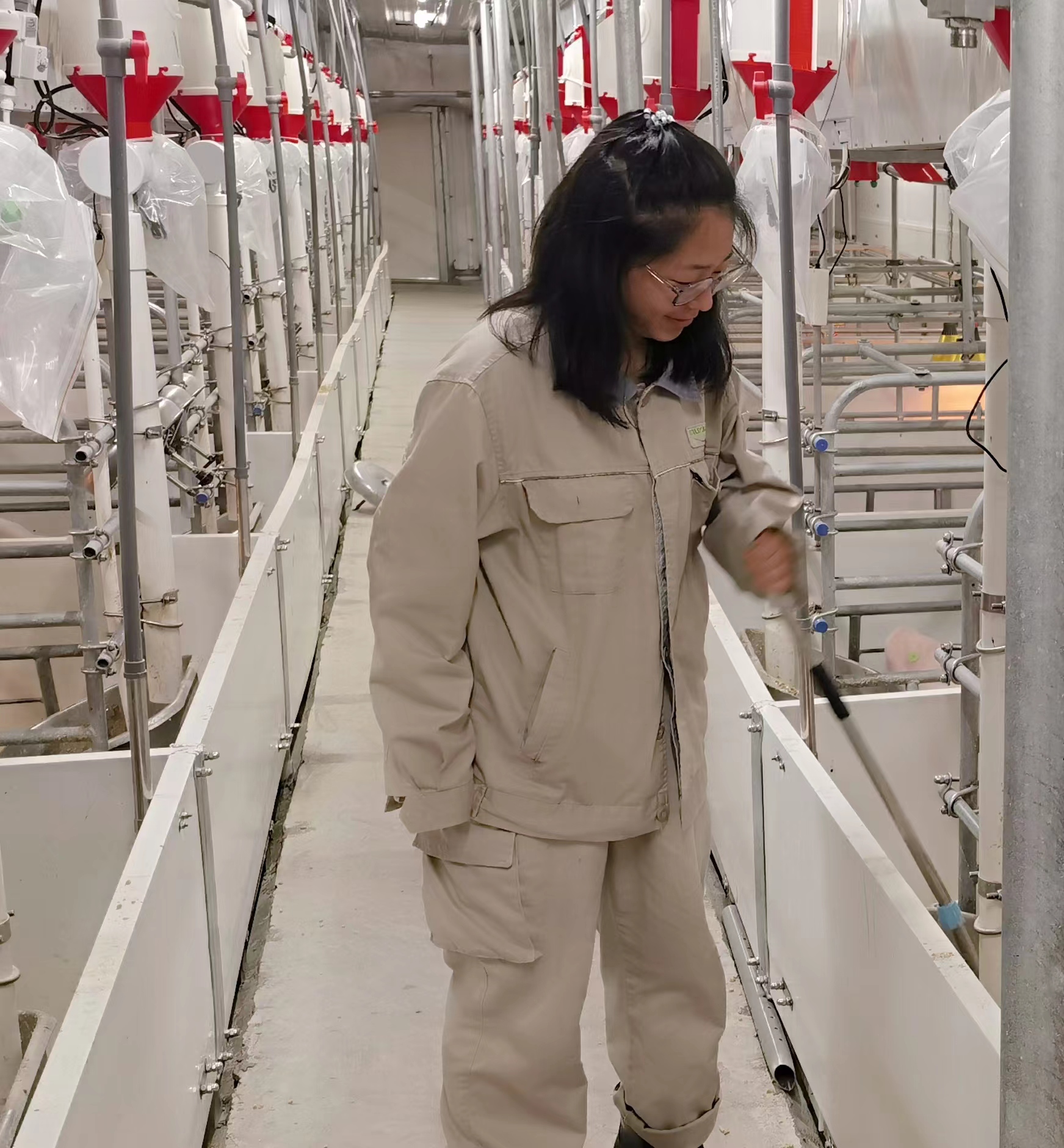 �齫������