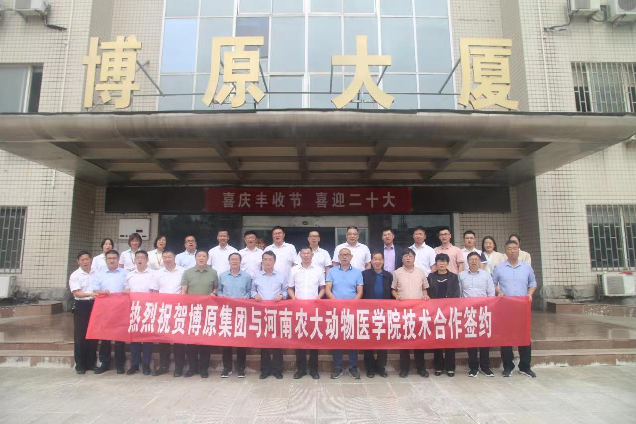 �齫������