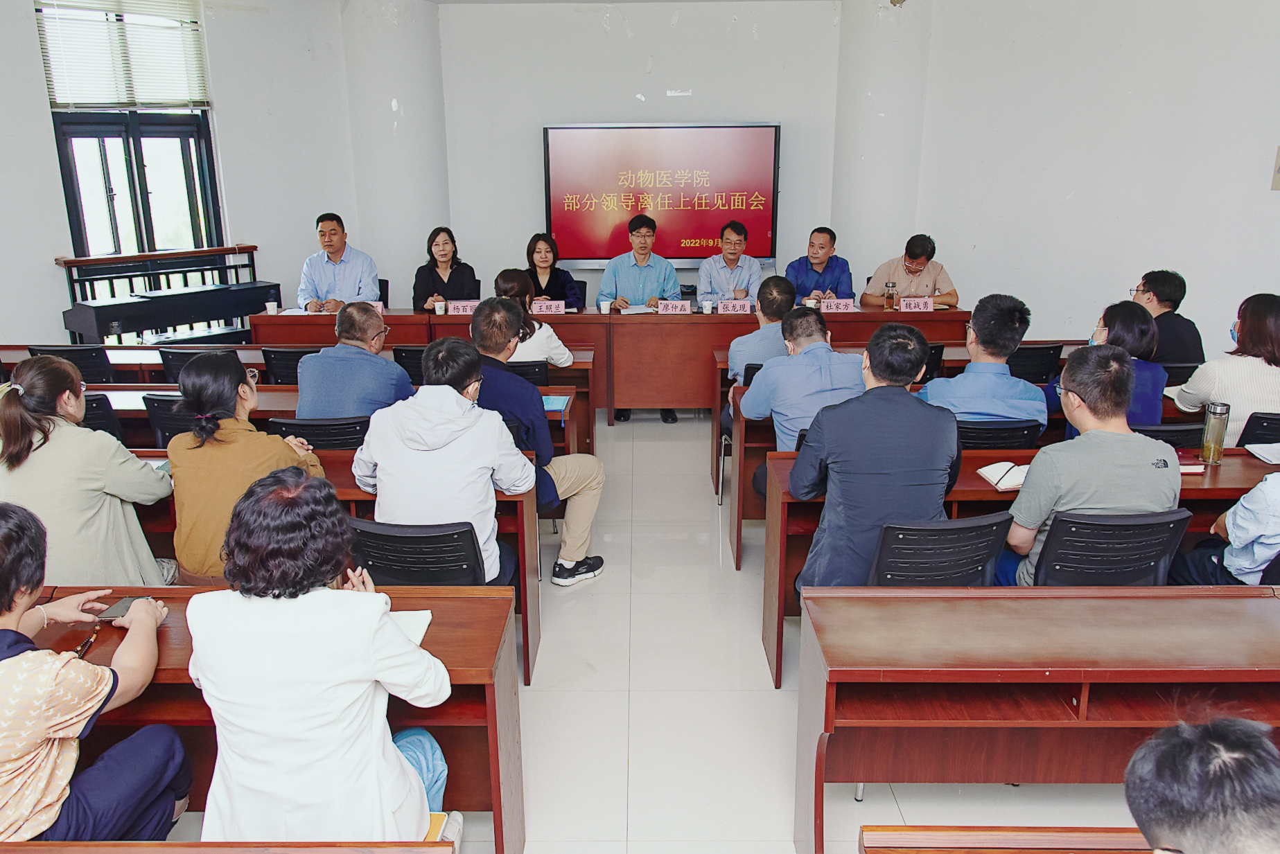 �齫������