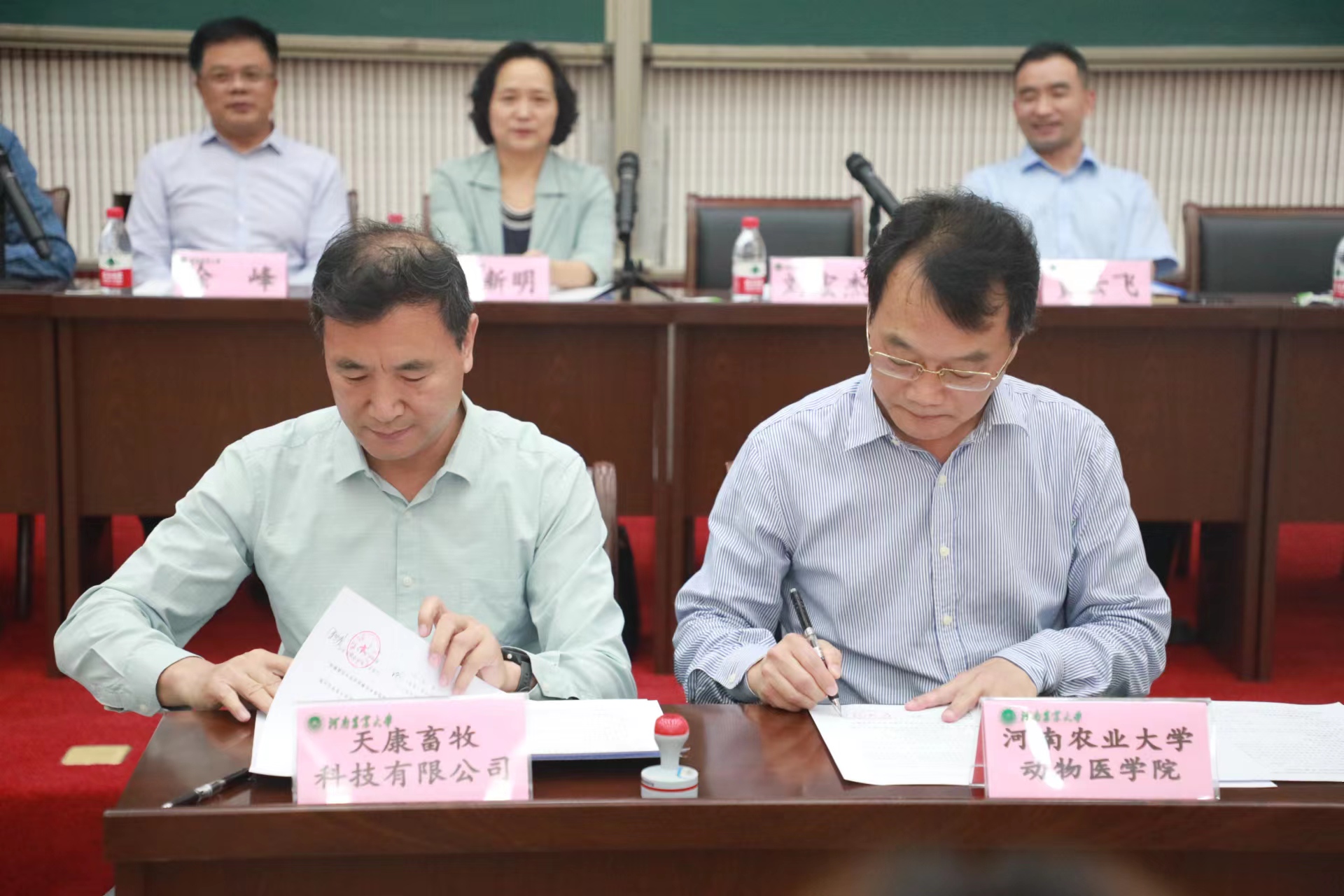 �齫������