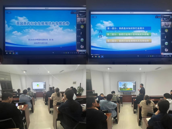 �齫������