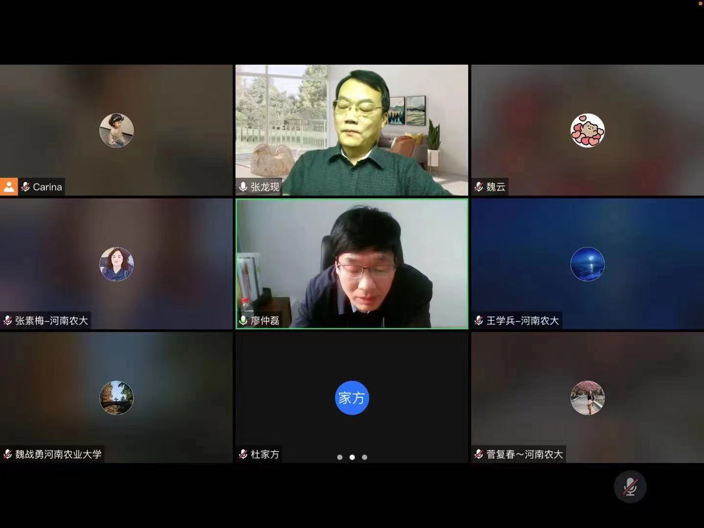 �齫������