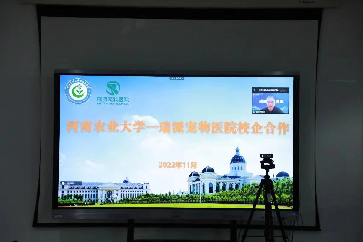 �齫������