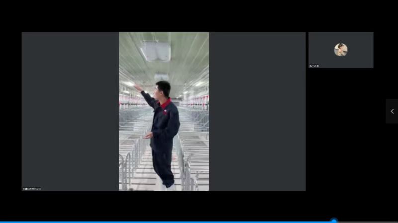 �齫������