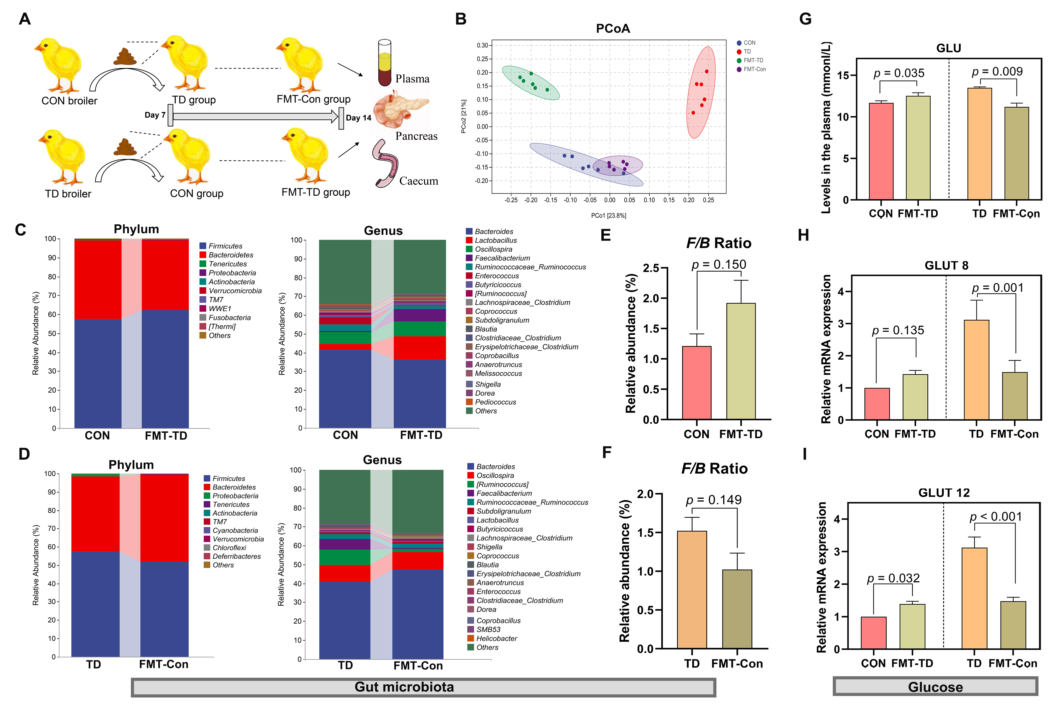 �齫������