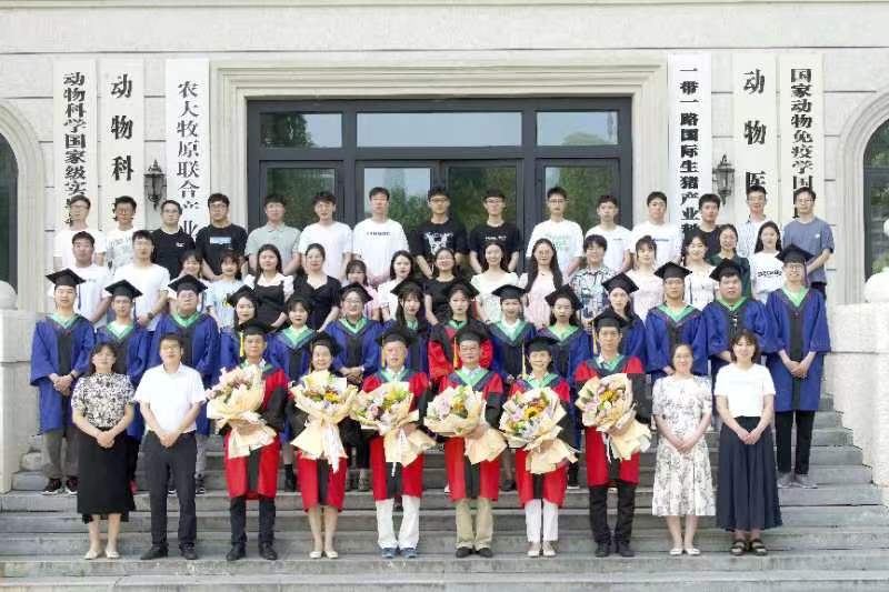 �齫������