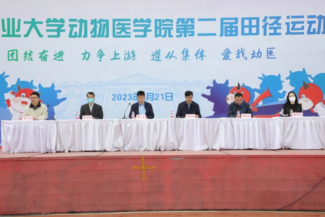 �齫������