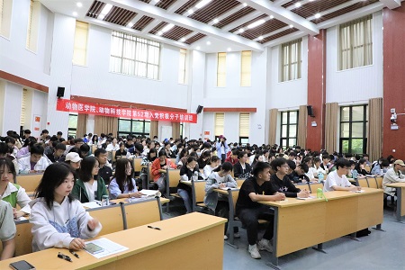 �齫������