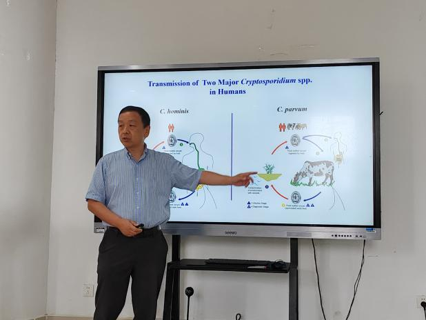 �齫������