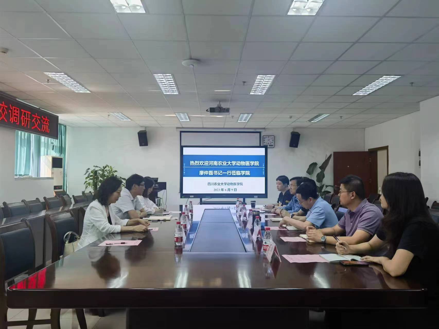 �齫������